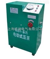 6DSY电动试压泵厂家