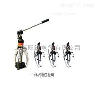 DYZ-10一体式液压拉马（拔轮器）厂家