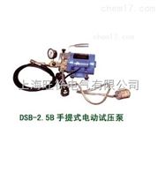 DSB-2.5B手提式电动试压泵厂家
