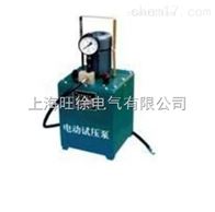 DSY-300/3手提式电动试压泵厂家