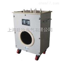 DDQ-0.5升流器