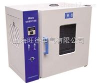 WJDX-1200型*节能环保型烘箱