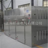 006全自动鼓风大型烘干箱