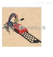 CG1-100B双割炬切割机厂家